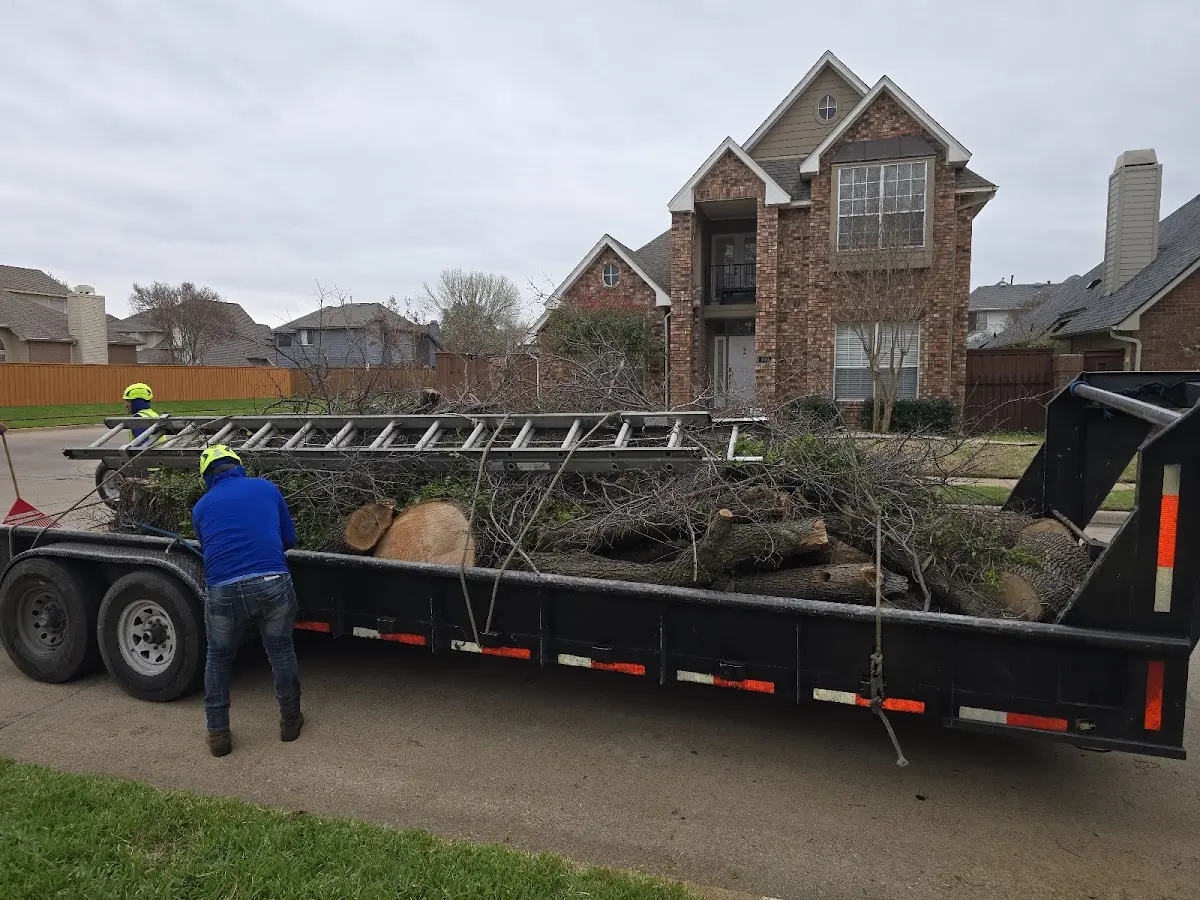 Expert Tree Pest Control with proper safety equipment in Newton Center